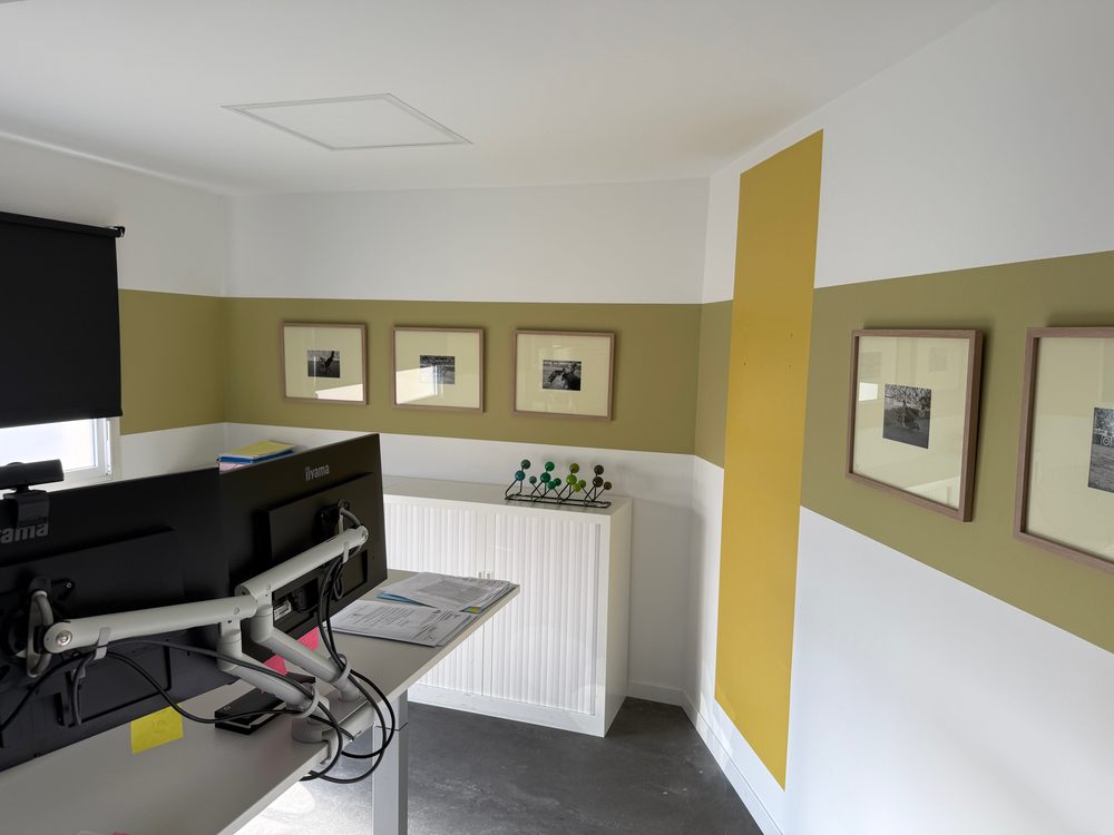 Peinture velours 2 teintes
