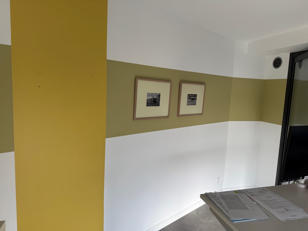 Peinture velours 2 teintes