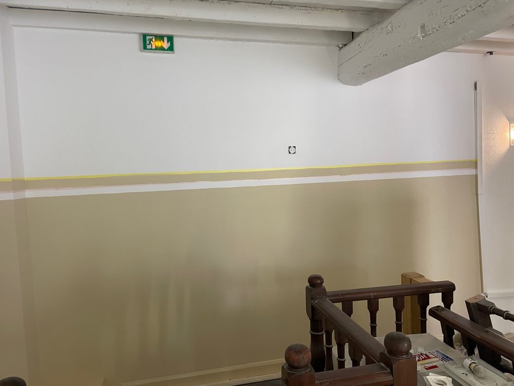 Peinture velours 2 teintes